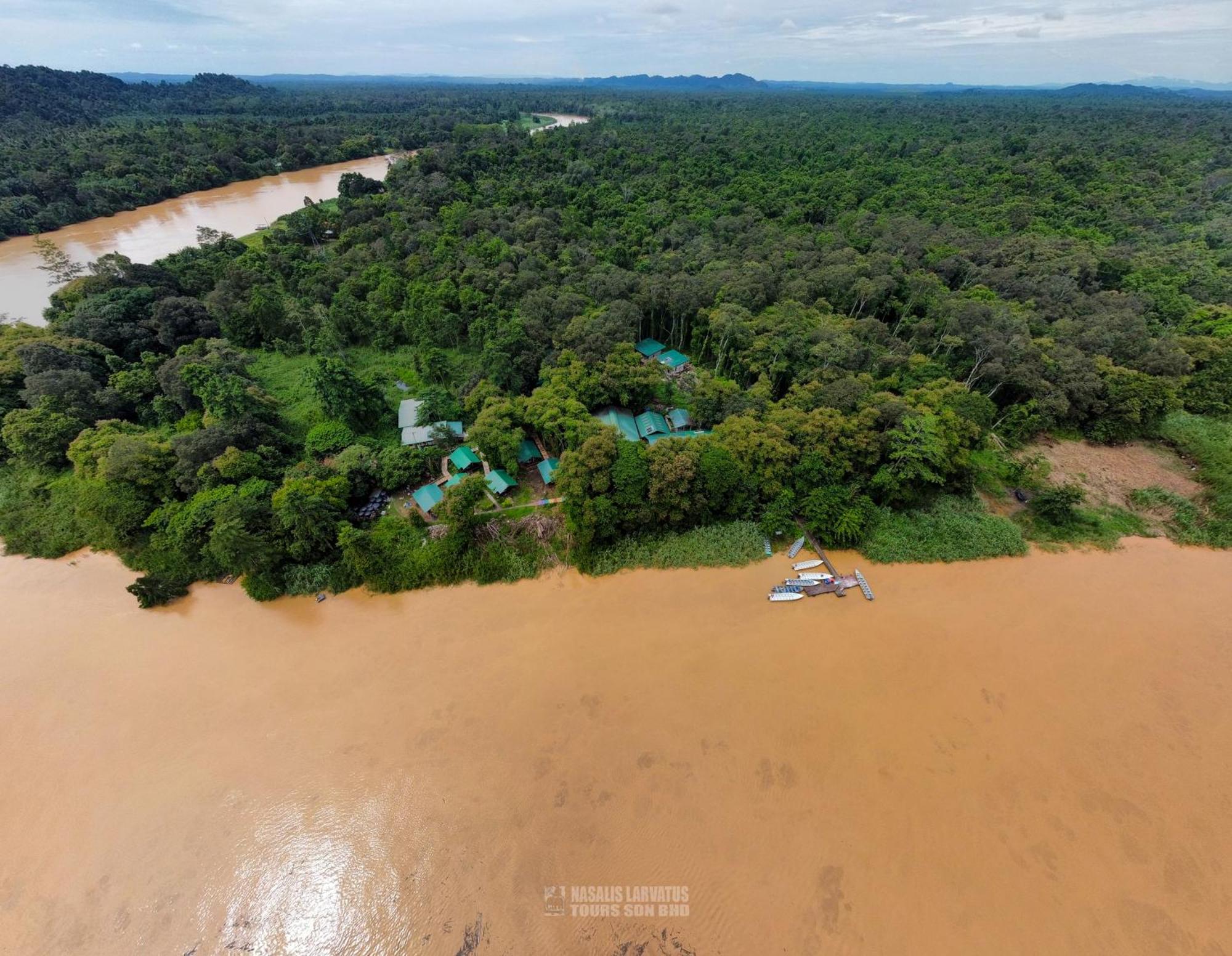 Tanini Kinabatangan Formerly Known As Nature Lodge Kinabatangan Bilit Zewnętrze zdjęcie