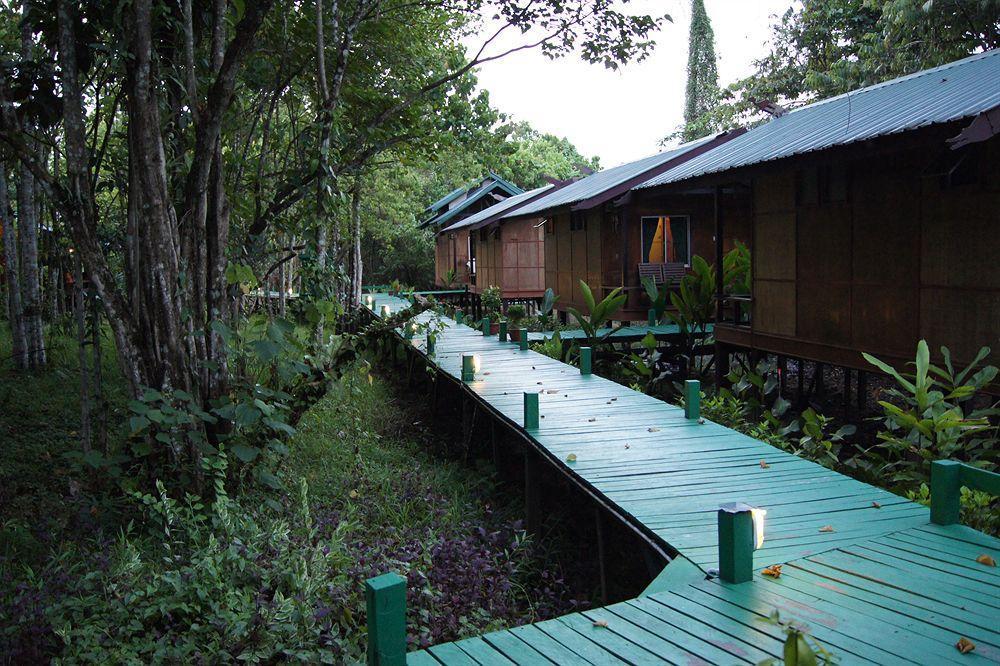 Tanini Kinabatangan Formerly Known As Nature Lodge Kinabatangan Bilit Zewnętrze zdjęcie