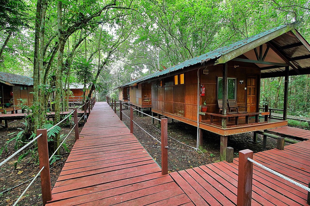Tanini Kinabatangan Formerly Known As Nature Lodge Kinabatangan Bilit Zewnętrze zdjęcie