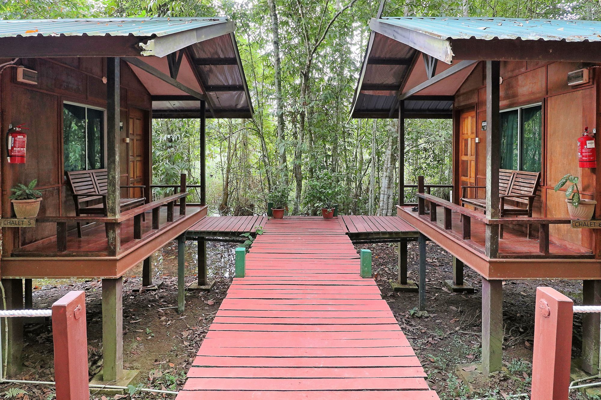 Tanini Kinabatangan Formerly Known As Nature Lodge Kinabatangan Bilit Zewnętrze zdjęcie